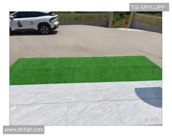 足球场草皮技术揭秘