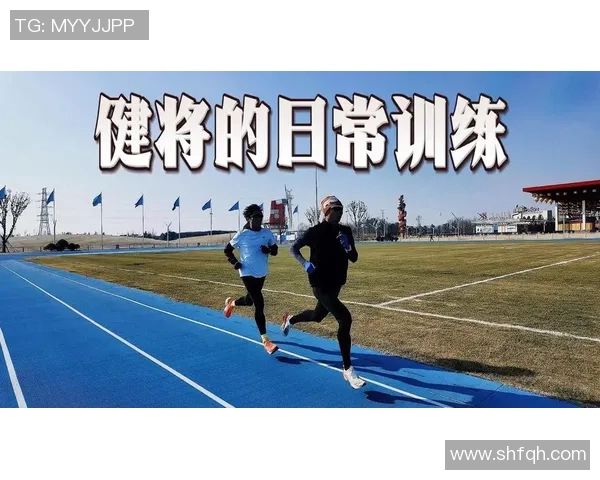 体育明星训练与生活平衡揭秘